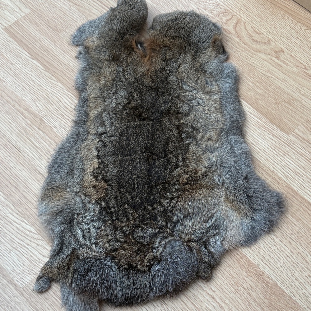 #A47 rabbit pelt